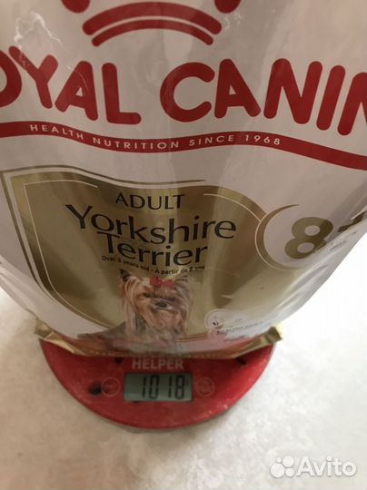 Корм для йорков Royal Canin 8+