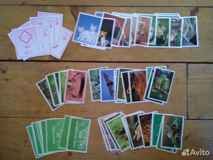 Журналы Мир животных '96, Хит-парад '97 + наклейки