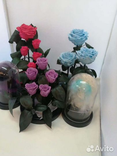 Роза в колбе оптом и в розницу