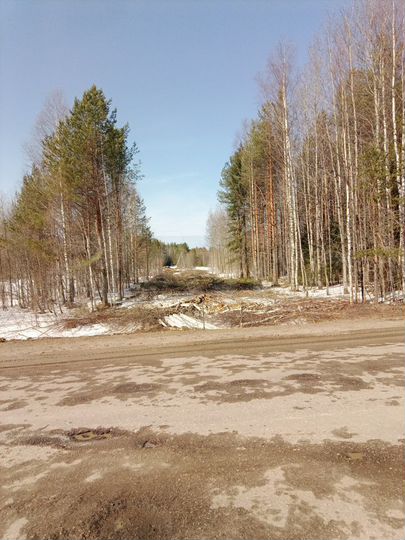 Участок 50 сот. (ИЖС)