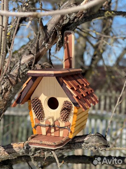 Сквореничк, кормушка, бельчатник