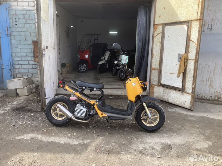 Honda zoomer ruckus