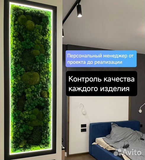 Стабилизированный мох - панно