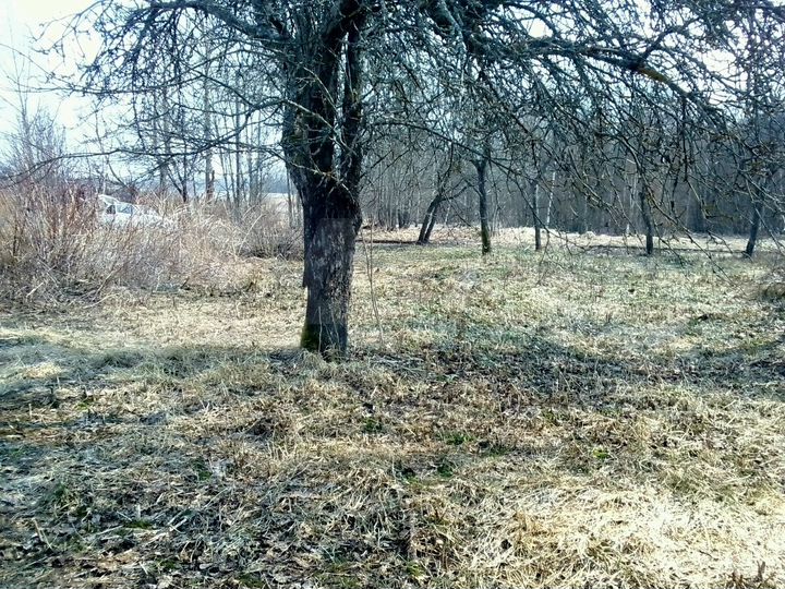Участок 30 сот. (ИЖС)