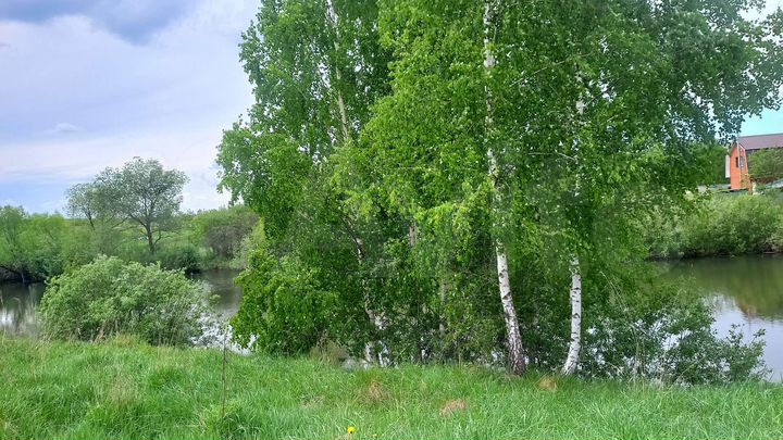 Участок 20 сот. (ИЖС)