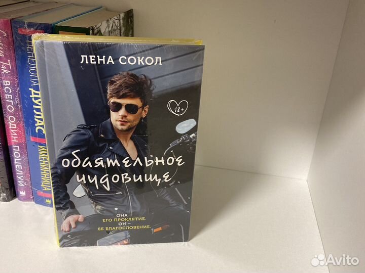 Лена Сокол книга