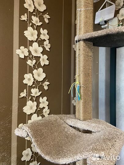 Когтеточка домик для кошки