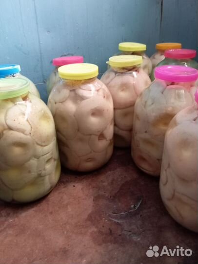 Грибы грузди соленые