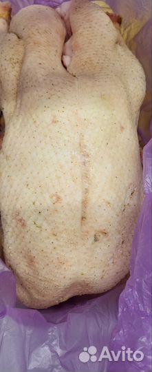 Мясо гуся, мясо утки