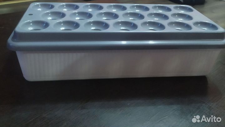 Луковое счастье