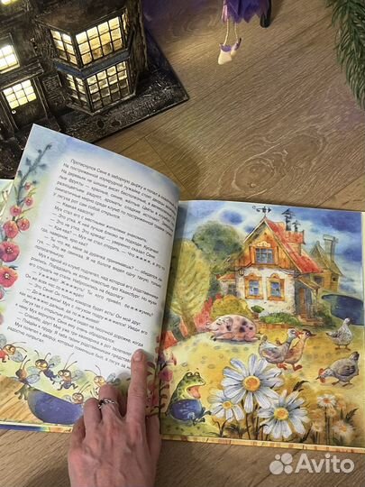 Маленький Мух Антон Соя