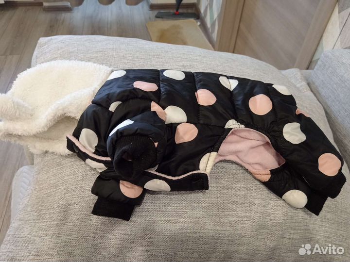 Одежда для маленьких собак