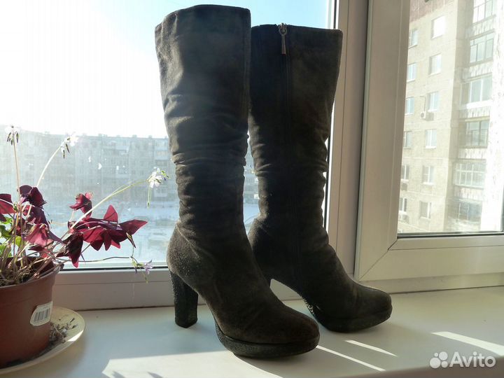 Зимние женские сапоги Calipso нат. замша и мех 38