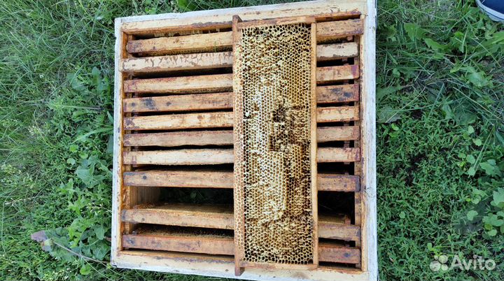 Сушь рамки для пчел