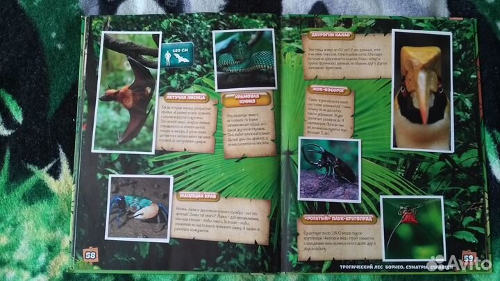 Альбомы и наклейки Океаномания Стикермания spar