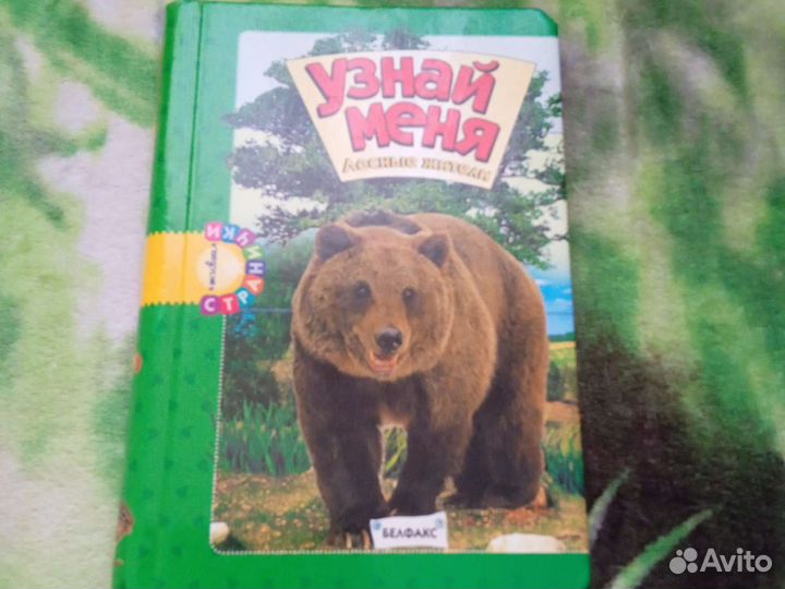 Книжка узнай меня, лесные жители