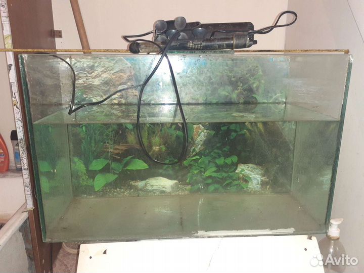 Аквариум