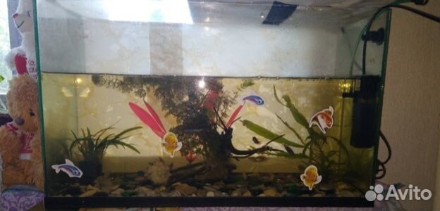 Аквариум