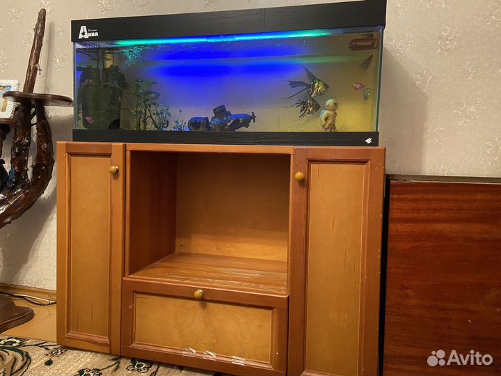 Аквариум
