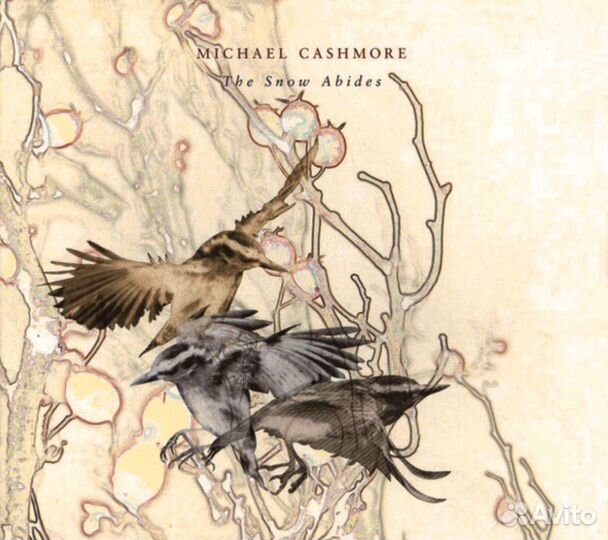 Michael cashmore -THE snow abides- CD новый