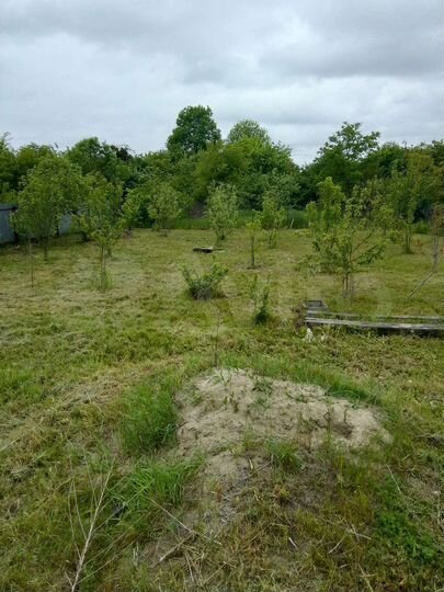 Участок 8 сот. (ИЖС)