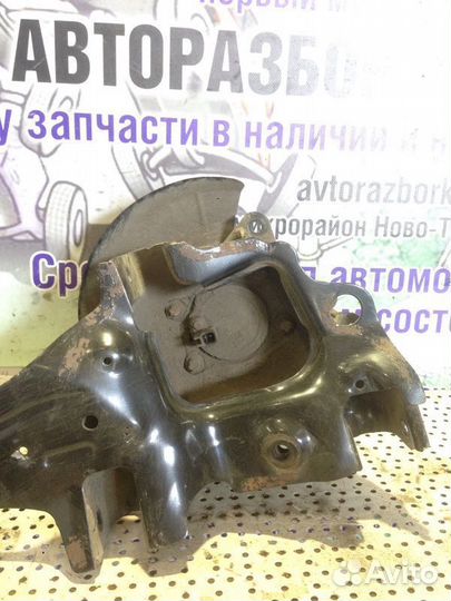 Кулак задний правый Ford Focus