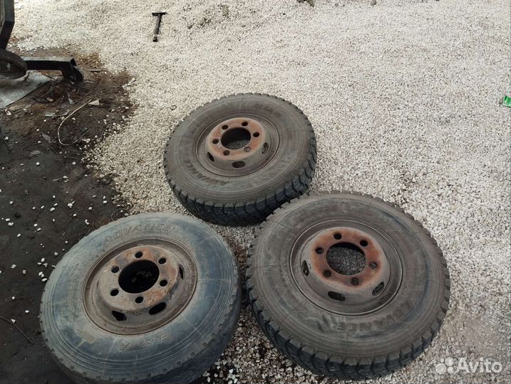 Advance GL663D 8.25 R16