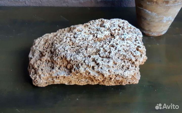 Островок для земноводных из природного ракушечника