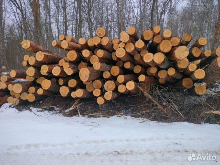 Продам лес кругляк