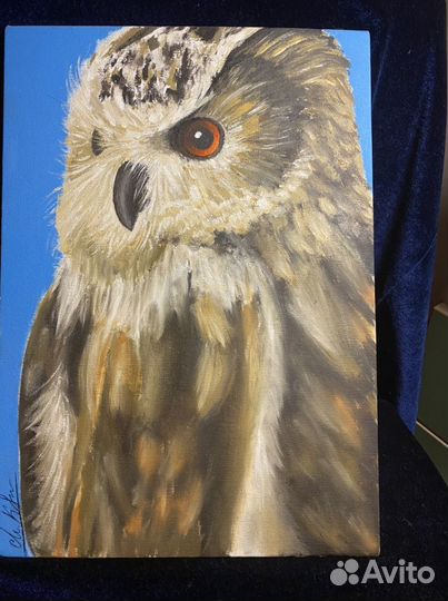 Сова Картина холст
