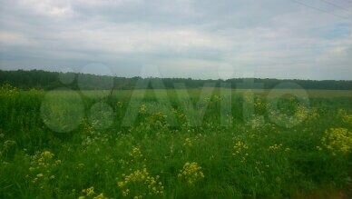 Участок 25 сот. (ИЖС)