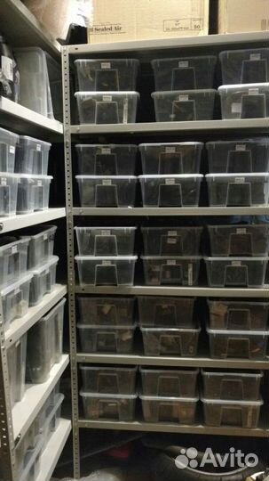 Коммутатор Yamaha 40-50 сил f8t12771