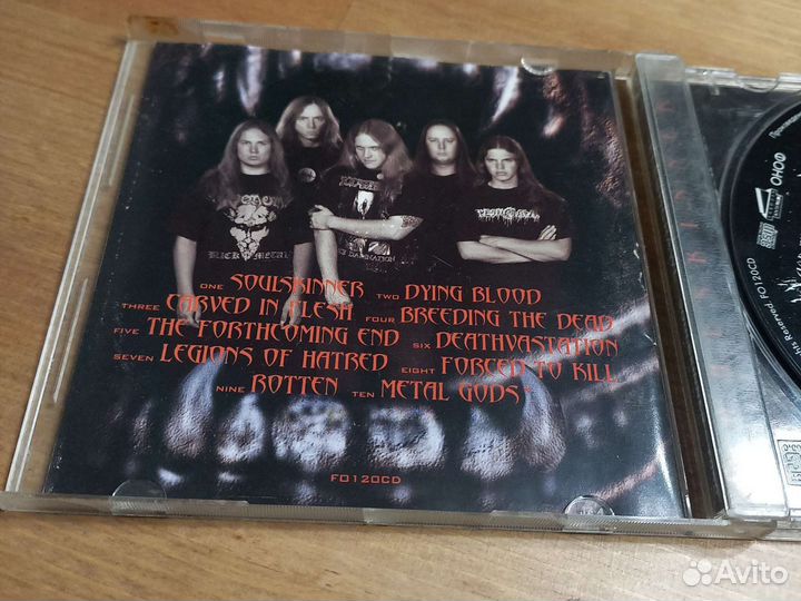 Fleshcrawl. Soulskinner