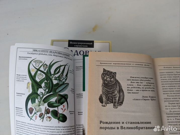 Книги разные: рукоделие, воспитание, кулинария др