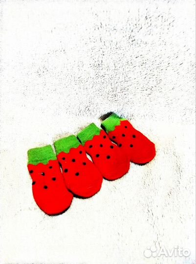 Носки для собак мелких пород