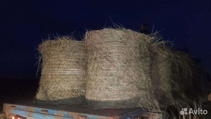 Продажа сено в тюках