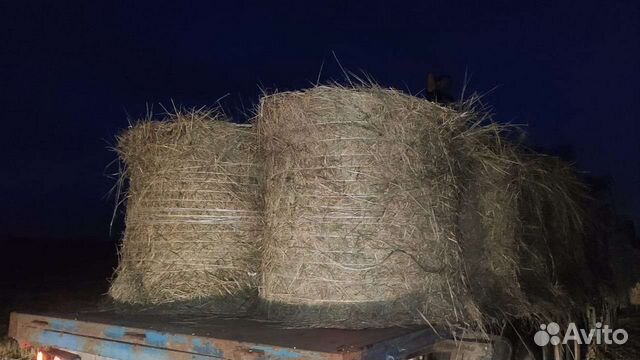 Продажа сено в тюках