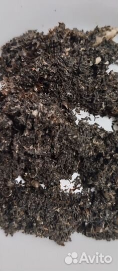 Продукты жизнедеятельности восковой моли