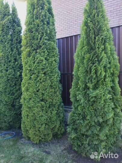 Благоустройство