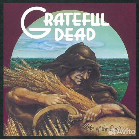 Виниловая пластинка Grateful Dead - Wake Of The Fl
