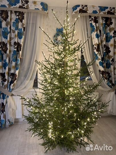 Шторы продаю комплект и тюль