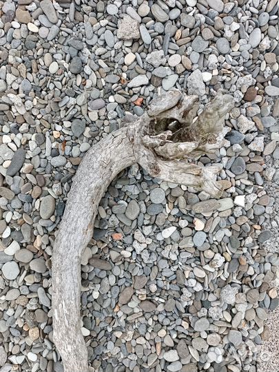 Морское дерево, дрифтвуд, палочки для декора