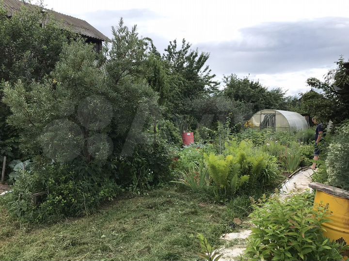 Дом 50 м² на участке 4 сот.