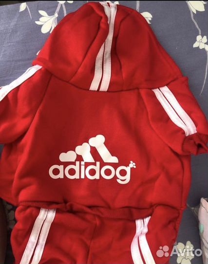 Одежда для собак мелких пород