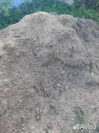 Конский навоз