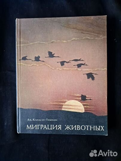 Миграция животных Клаудели