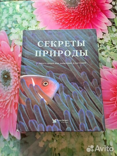 Ридерз Дайджест (энциклопедии)