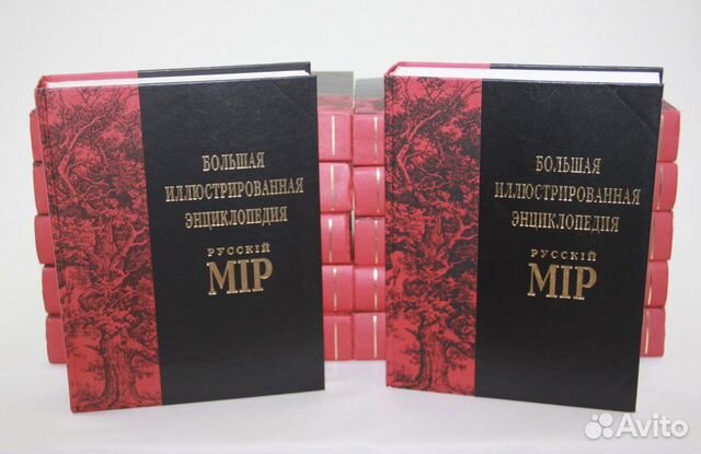 Большая иллюстрированная энциклопедия Русский мир