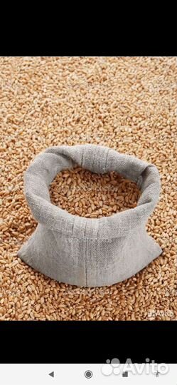 Корма для сельскохозяйственных животных