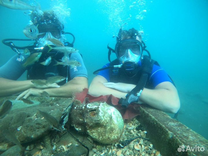 Дайвинг круглый год